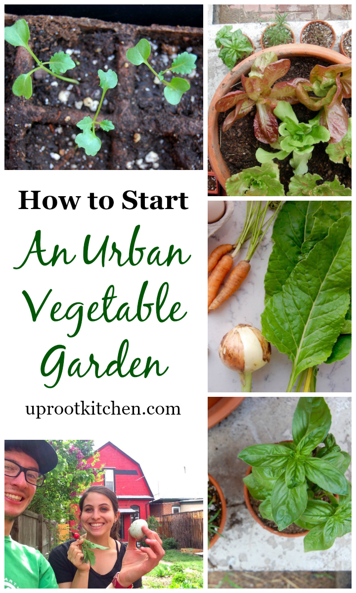 How to Start An Urban Vegetable Garden