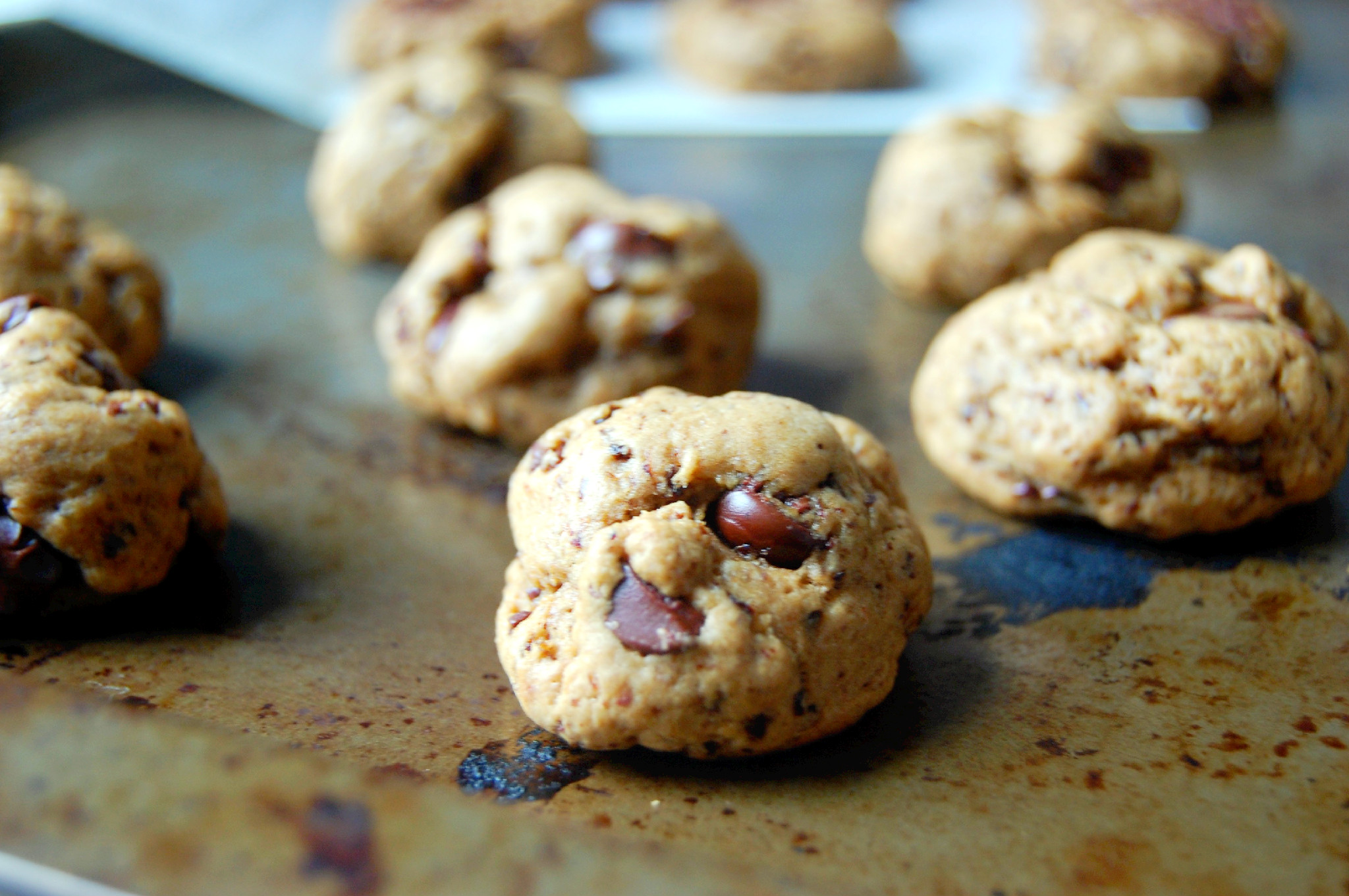 Reduced Fat Chocolate Chip Cookies Recipe - made with dried plum puree! Perfect for your sweet tooth | uprootkitchen.com
