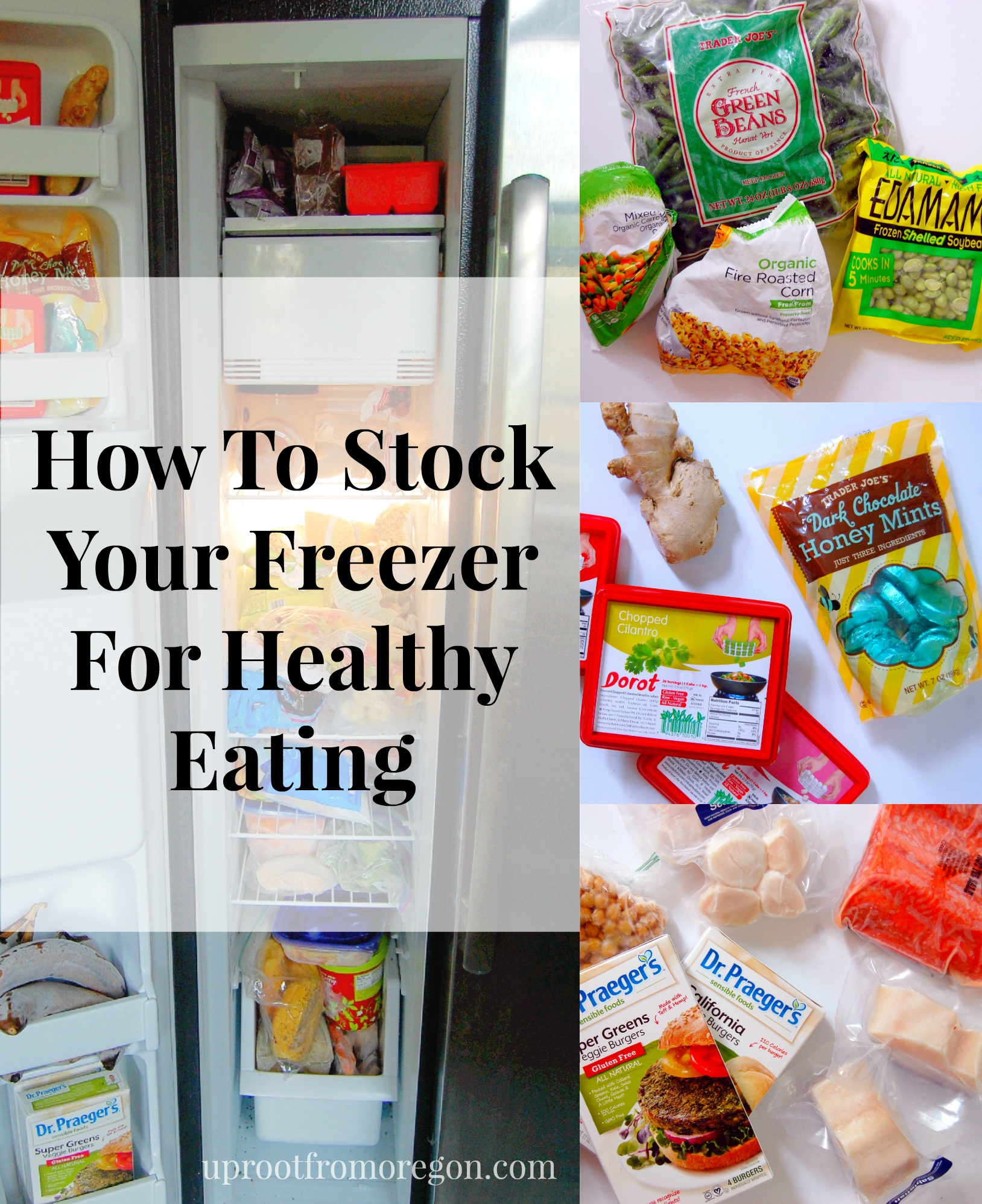 Choosing Healthy Freezer Pops - Feed Them Wisely